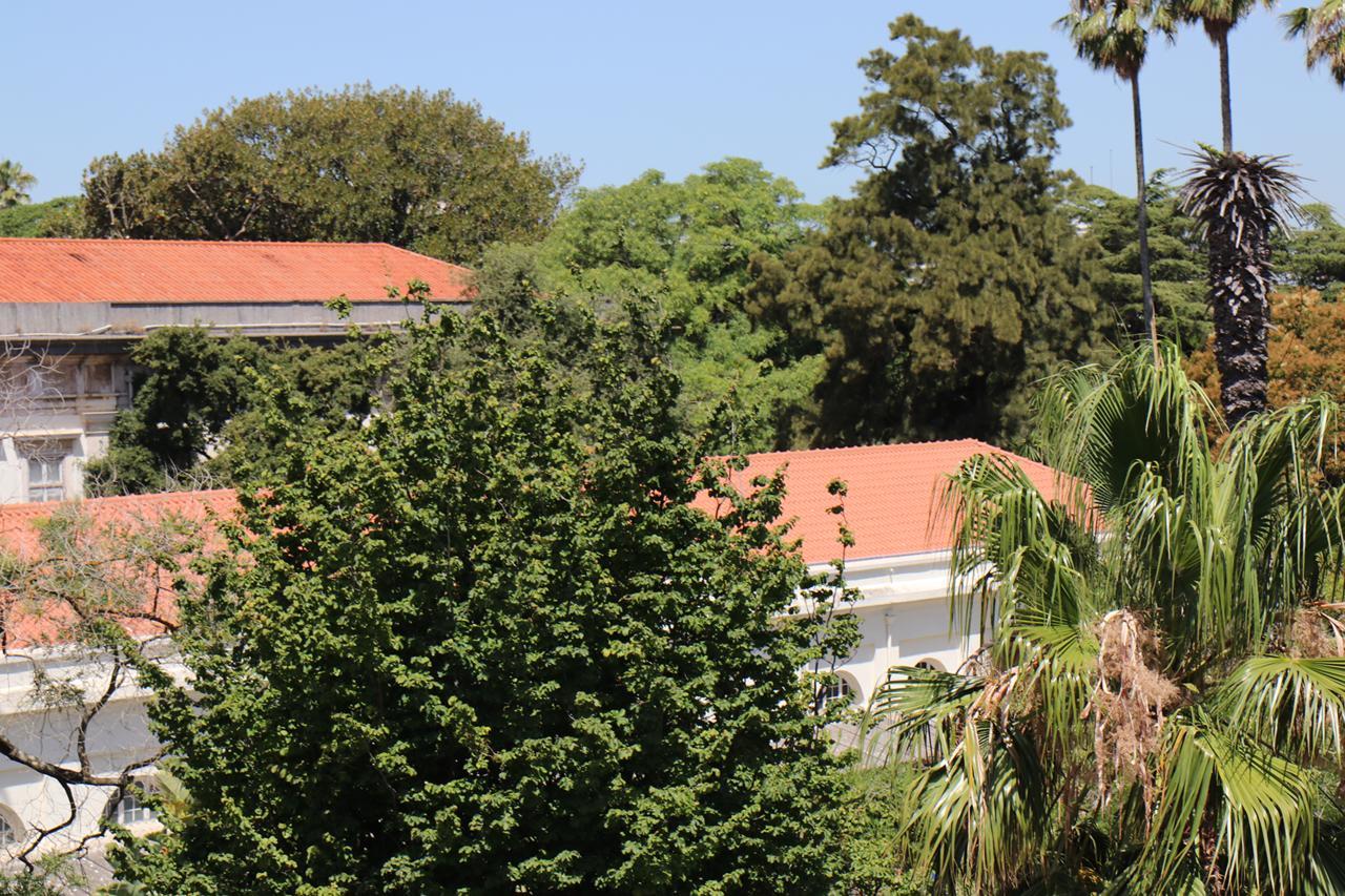 ליסבון Botanic Views Guest House מראה חיצוני תמונה