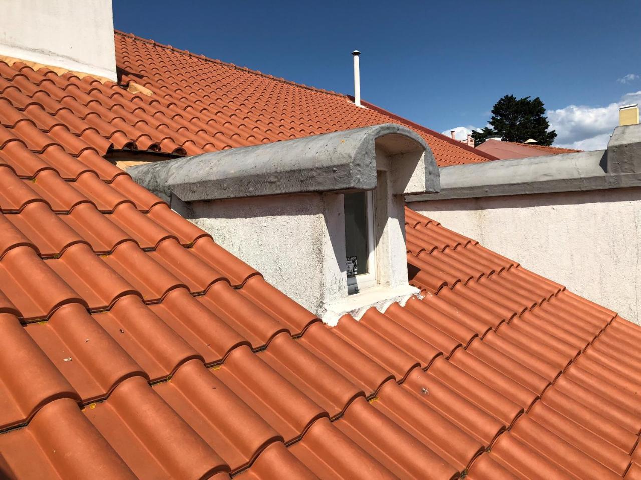 ליסבון Botanic Views Guest House מראה חיצוני תמונה